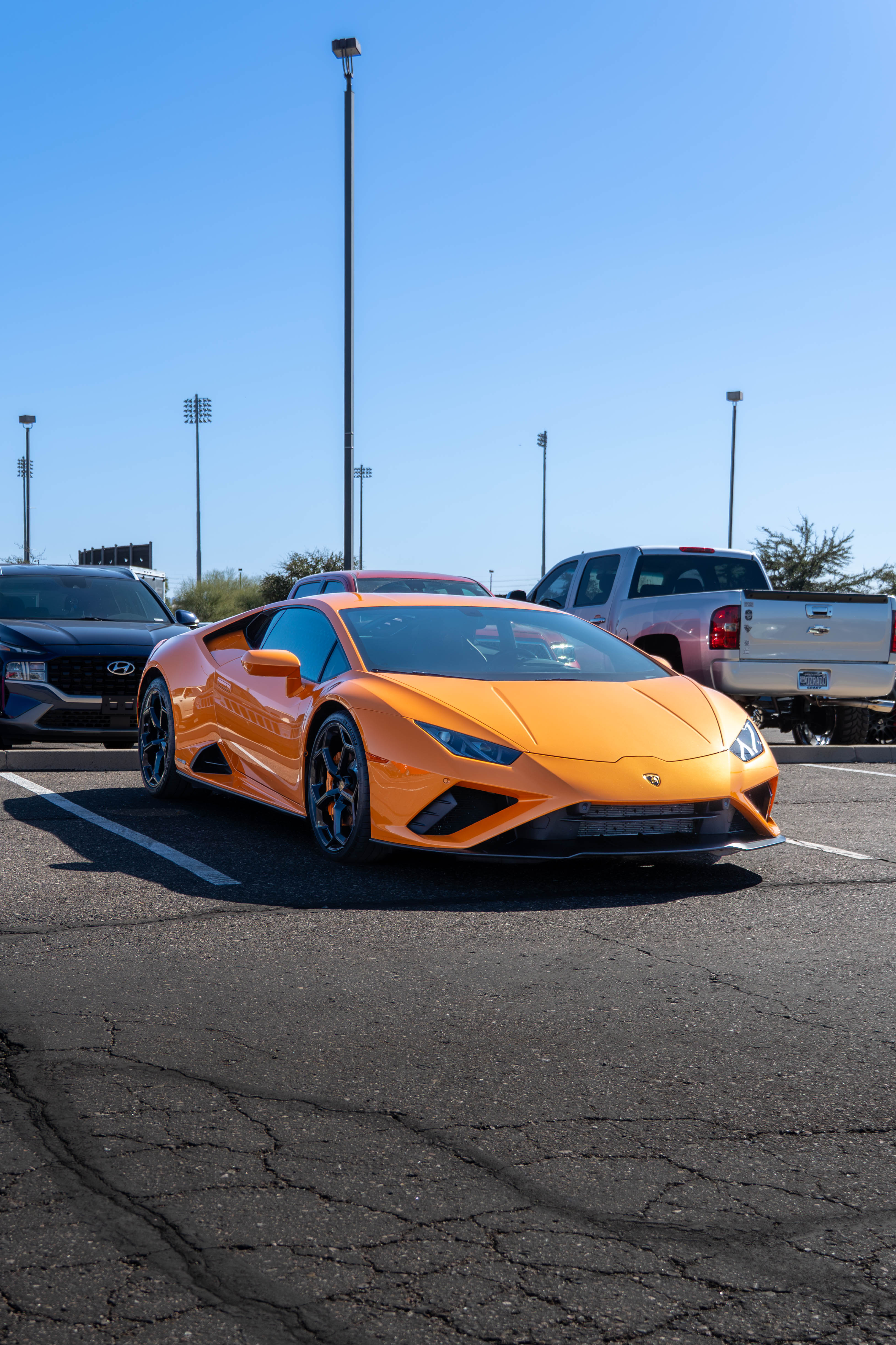 Massive Muchacho Media in action